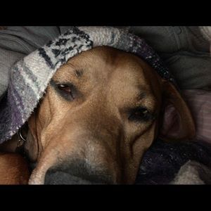 Meet your Posher, Marlene